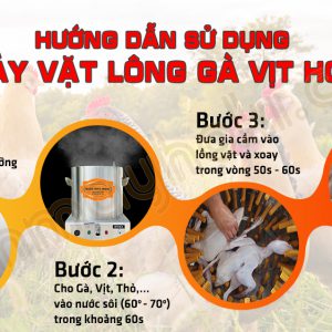 12 MVLGV quy trinh vat