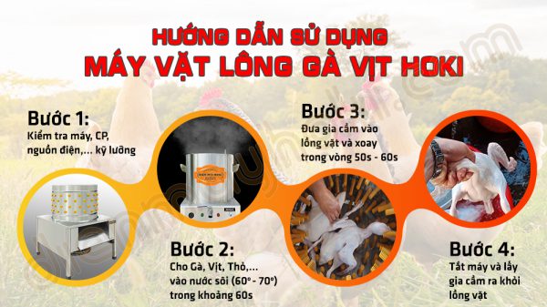 12 MVLGV quy trinh vat