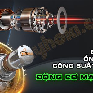 8 MVLGV dong co manh me cong suat cao