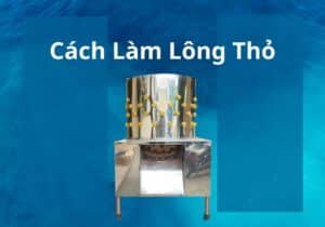 cách làm lông thỏ