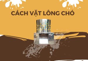 cách vặt lông chó