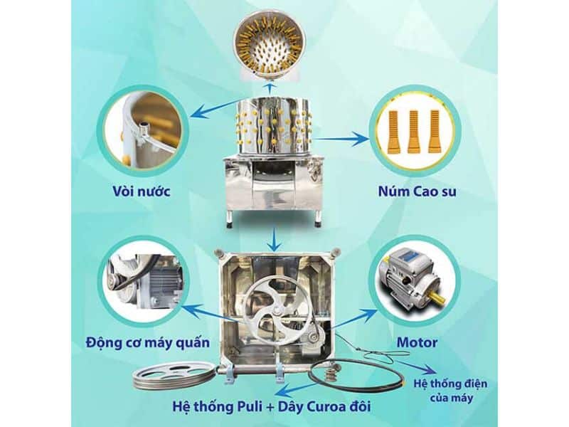 chi tiết cấu tạo máy vặt lông gà