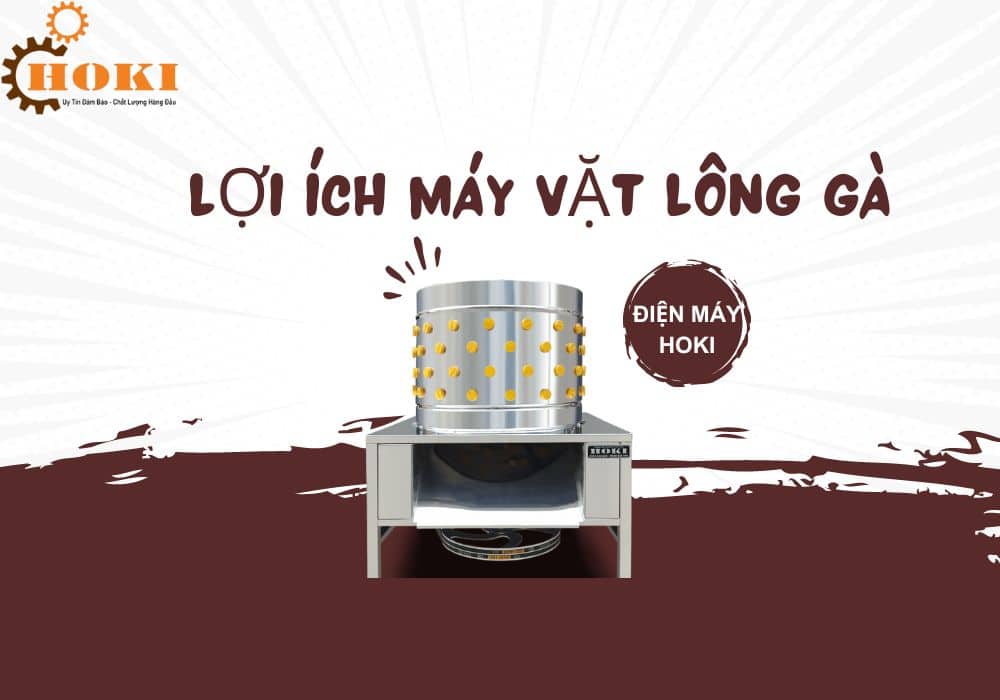 lợi ích máy vặt lông gà