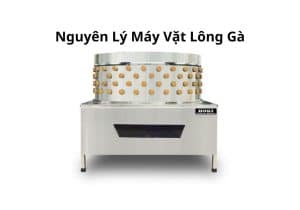 nguyên lý máy vặt lông gà