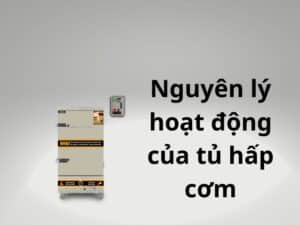 Cấu tạo và nguyên lý hoạt động của tủ hấp cơm