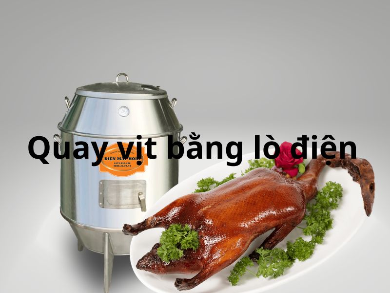 Cách quay vịt bằng điện